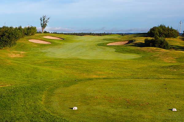 Clovelly Golf Club - Black Duck - photo 4