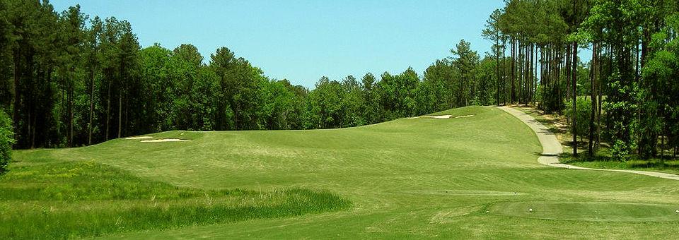 Bartram Trail Golf Club - photo 6