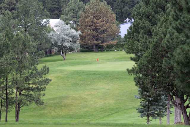 Cree Meadows - photo 2