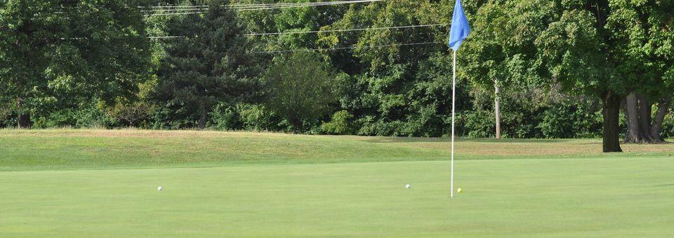 Lincoln Greens Golf Course - photo 4
