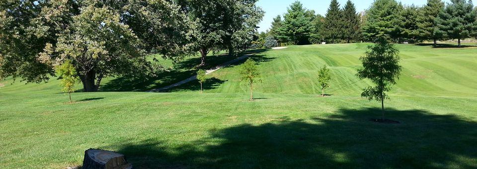 Tiger Pointe Country Club - photo 8