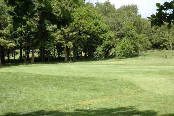 Pontardawe Golf Club - photo 8