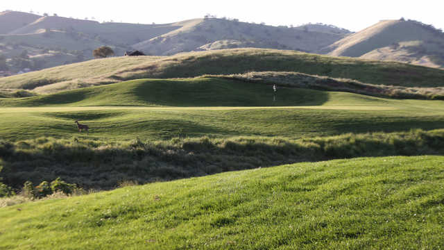 The Ranch - photo 3