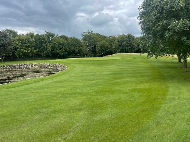 Newbridge Golf Club - photo 3