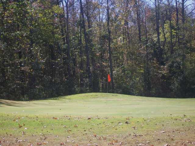 The Tennessean Golf Club - photo 2