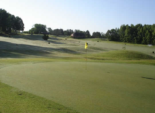 Forest Hill Golf Course - photo 5