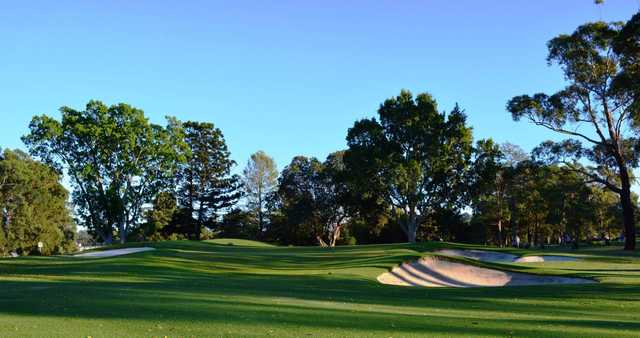 Ryde-Parramatta Golf Club - photo 4