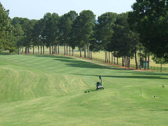 Turtle Point Yacht & Country Club - photo 3
