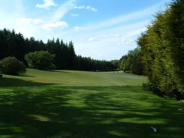 Lisburn - photo 4
