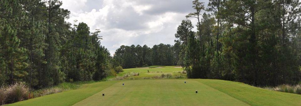 Golf Club at South Hampton - photo 7