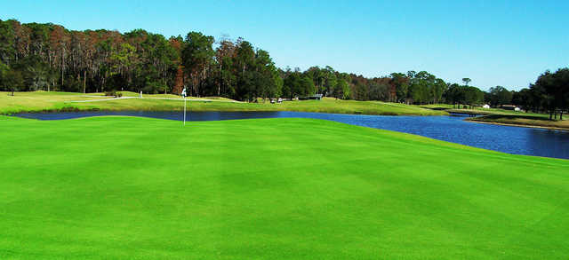 Lansbrook Golf Club - photo 2