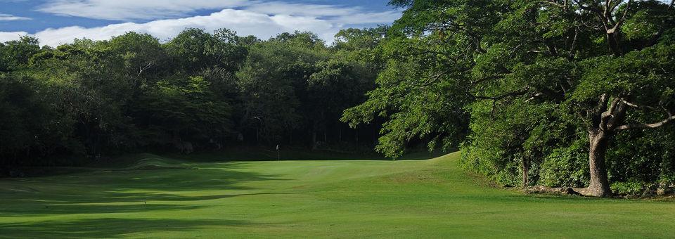 Caymanas Golf Club - photo 6