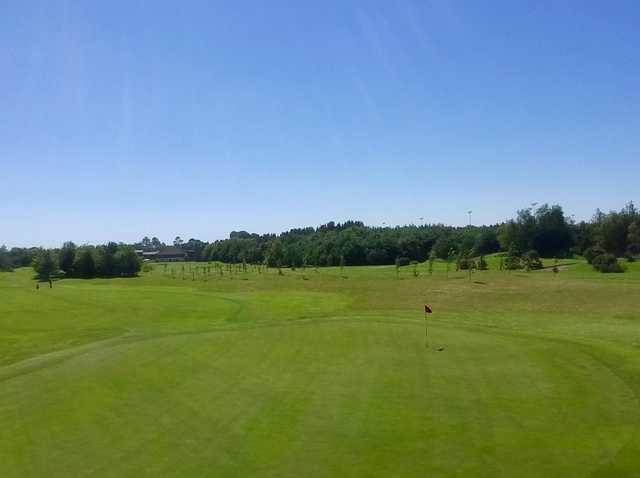 Allen Park Golf Club - photo 4
