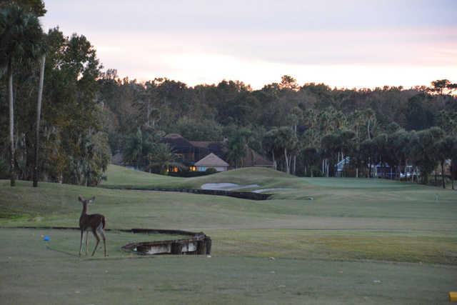Alaqua Country Club - photo 3