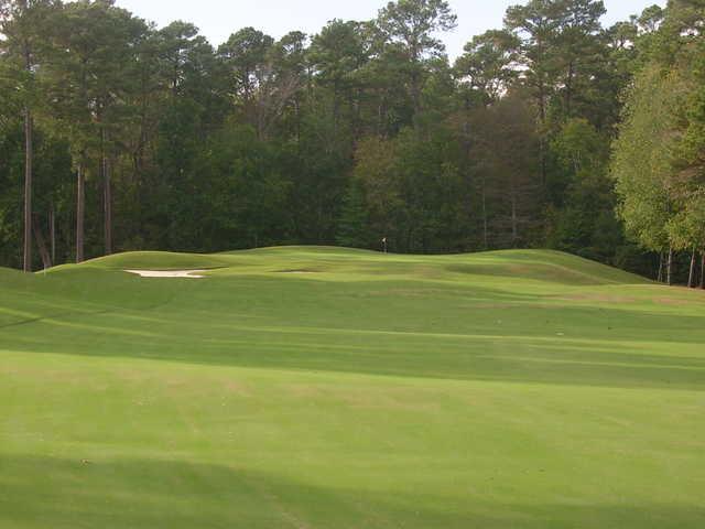The Emerald Golf Club - photo 4