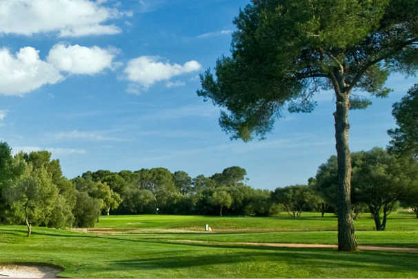 Montevallo Golf Club - photo 2