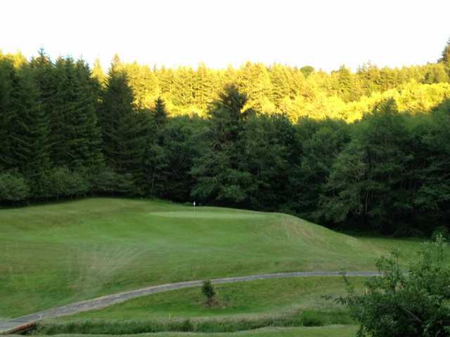 Olalla Valley Golf Course - photo 2
