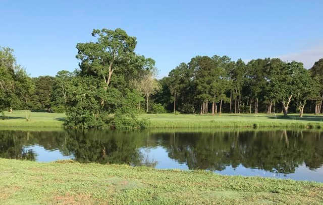 Chapparral Rec Assoc Golf Club - photo 3