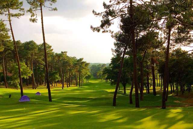 Golf de Seignosse - photo 3