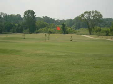 The Links of Madison County Golf and Country Club - photo 6