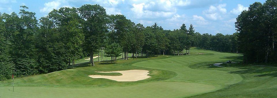 Blackstone National Golf Club - photo 4