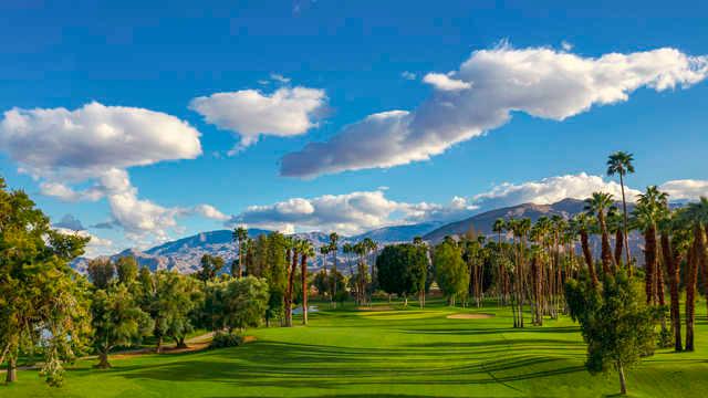 Desert Island Country Club - photo 6