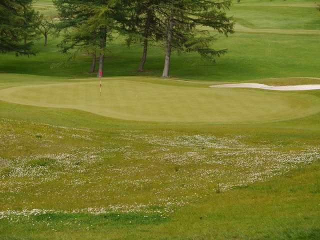 Williamwood Golf Club - photo 5