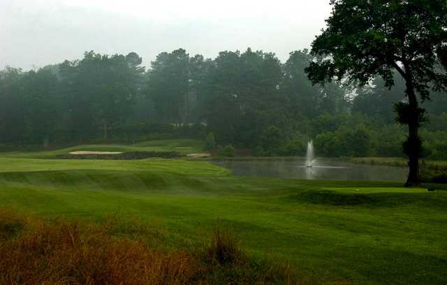 Atlanta National Golf Club - photo 3