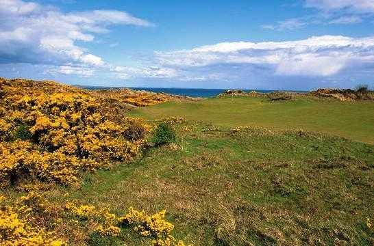 Annesley Links - photo 4