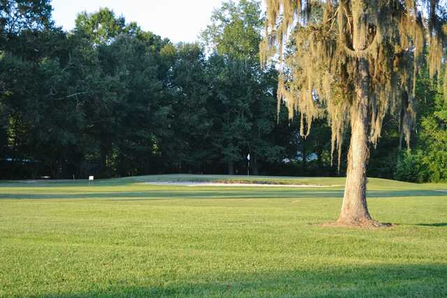 The Pines at North Park - photo 4