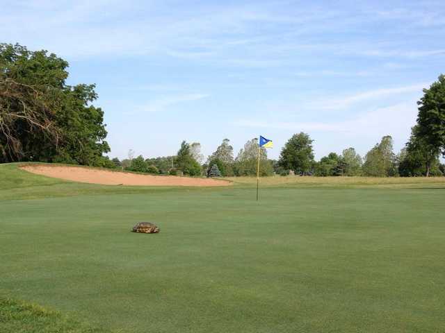 Horton Smith Golf Course - photo 2