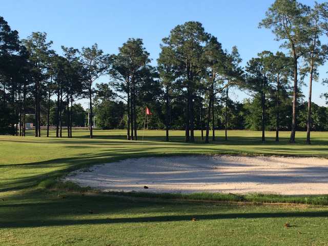 Eagle Springs Golf Course - photo 7