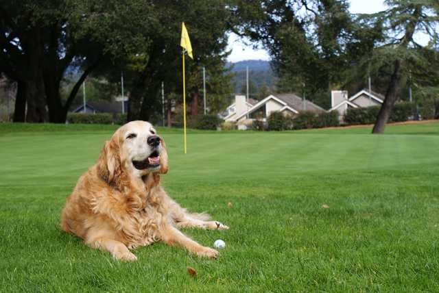 Valley Gardens Golf Course