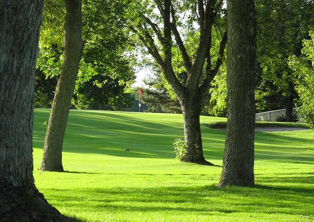 New Hope Village Golf Course - photo 4
