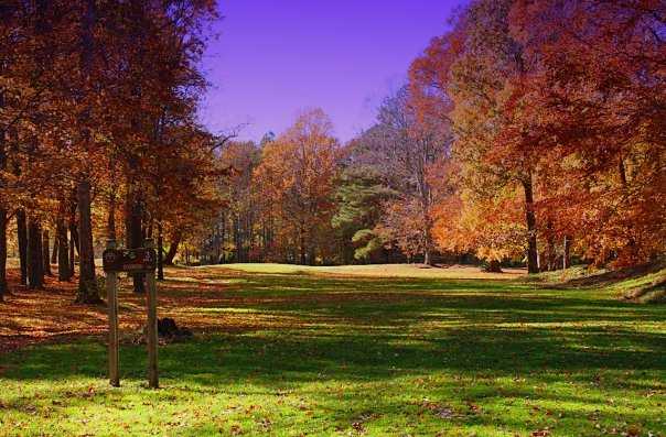 Pine Shore Golf Course - photo 2