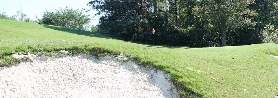 Steel Canyon Golf Club - photo 5