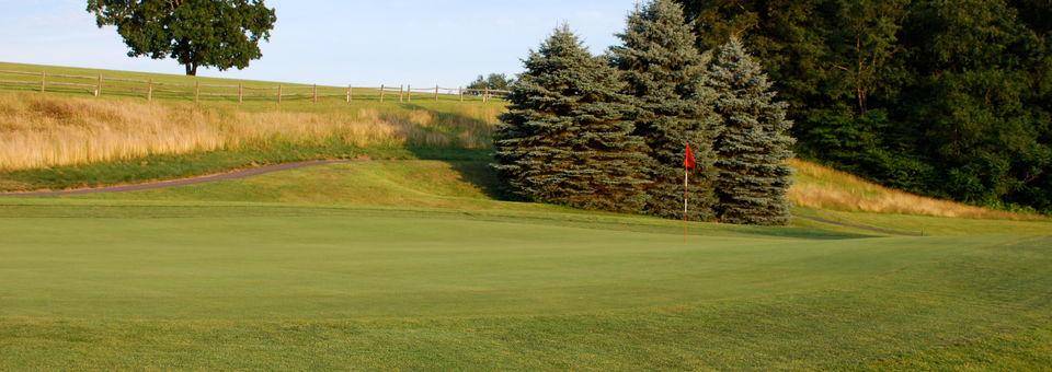 Indian Springs Golf Club - photo 8