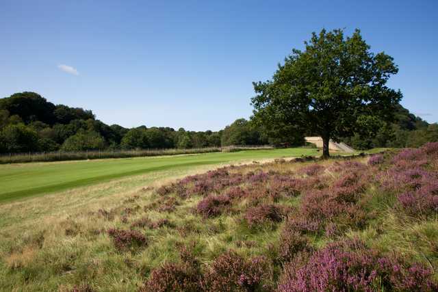 Pleasington Golf Club - photo 5