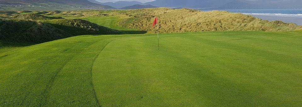 Castlegregory Golf Club - photo 5