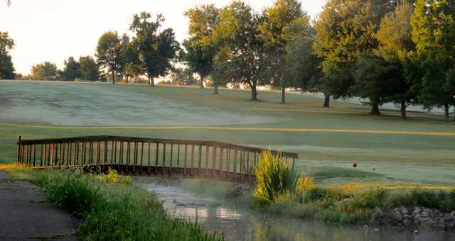 Lone Oak