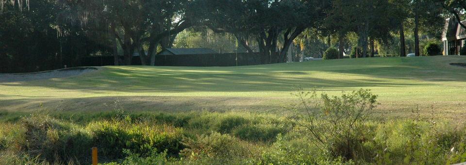 Tarpon Woods Golf Club - photo 3