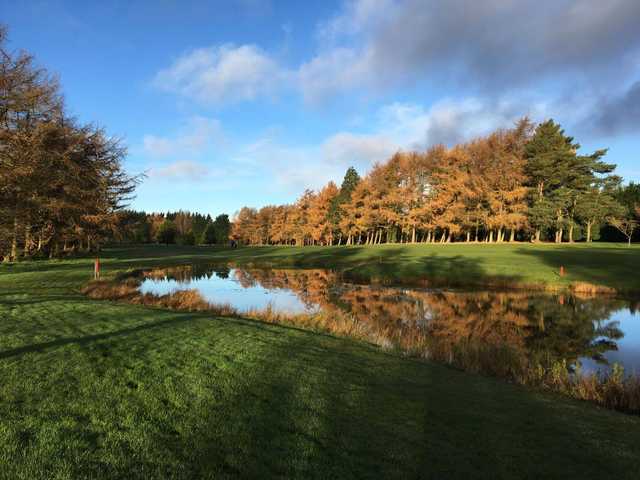 Massereene - photo 2