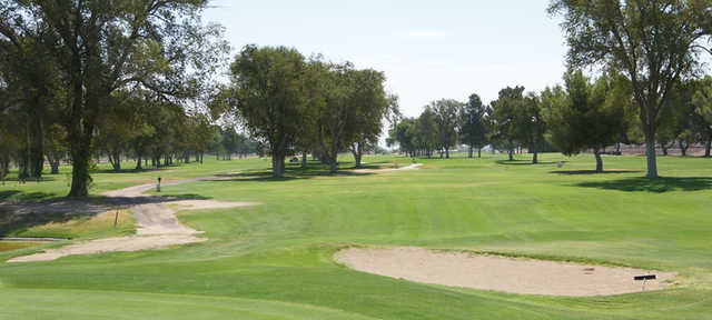 Tees and Trees - photo 2