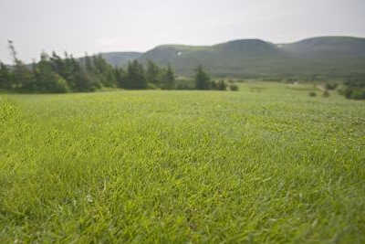 Silver Lake Golf Club - photo 2