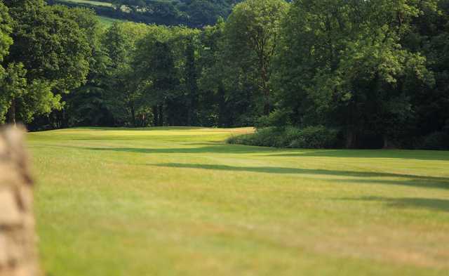 Bowood Park Hotel & Golf Club - photo 2