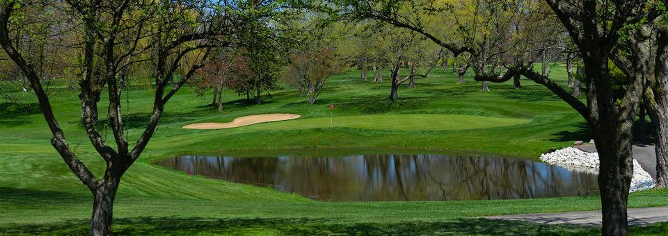 Meadowbrook Country Club - photo 6