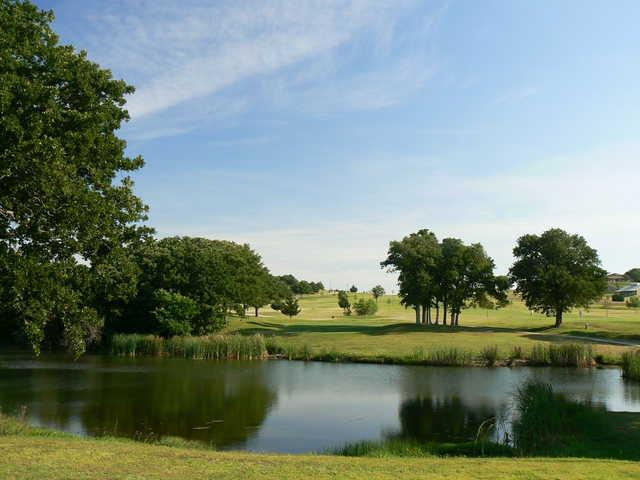 Turtle Hill - photo 5