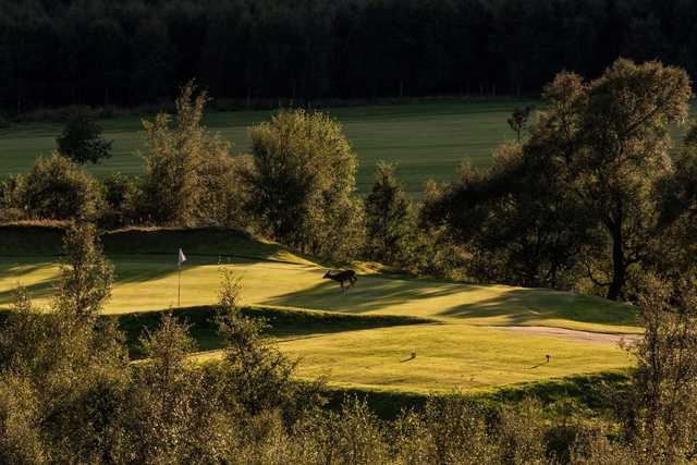 Braemar Golf Club - photo 5