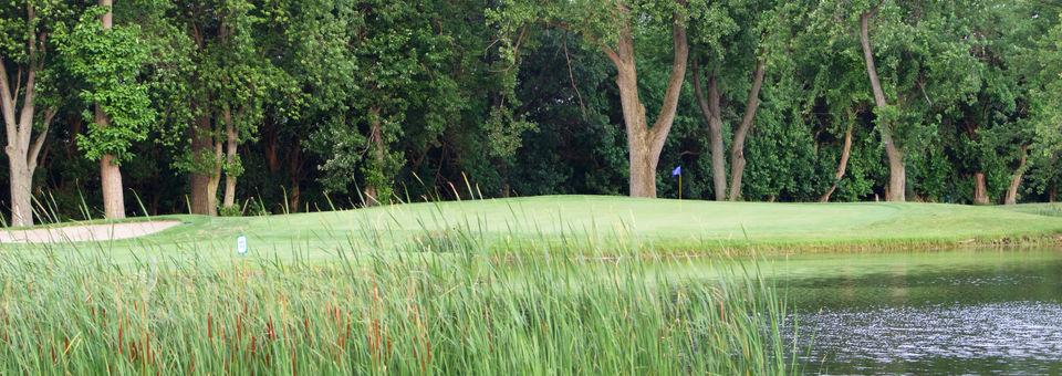 Glenwoodie Golf Club - photo 6