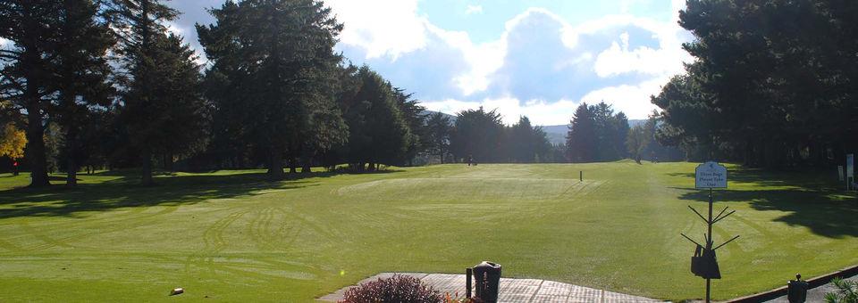 Edmondstown Golf Club - photo 6